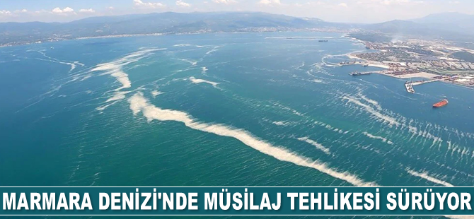 Marmara Denizi’nde müsilaj tehlikesi sürüyor