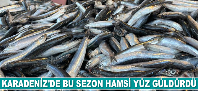 Karadeniz’de bu sezon hamsi yüz güldürdü