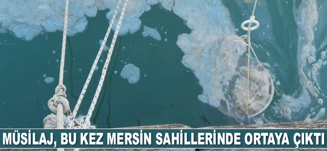 Müsilaj, bu kez Mersin’de ortaya çıktı