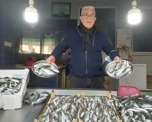 Giresun’da balıkçı tezgahları hamsisiz kaldı