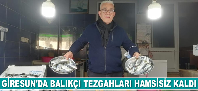 Giresun’da balıkçı tezgahları hamsisiz kaldı