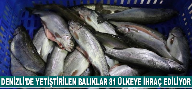 Denizli’de yetiştirilen alabalıklar 81 ülkeye ihraç ediliyor