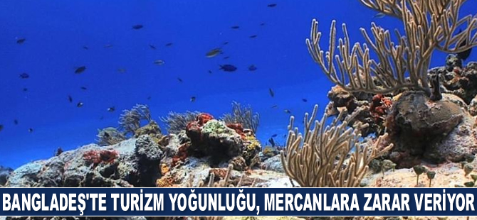 Bangladeş'te turizm yoğunluğu, Saint Martin's Adası'ndaki mercanlara zarar veriyor