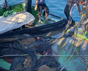 Marmara Denizi'nden 5 ayda 5 dönüm alanı kaplayacak kadar ağ çıkarıldı