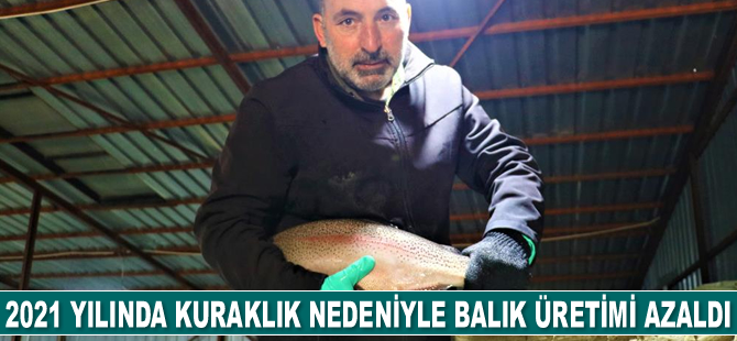 Sivas’ta 2021 yılında kuraklık nedeniyle balık üretimi azaldı