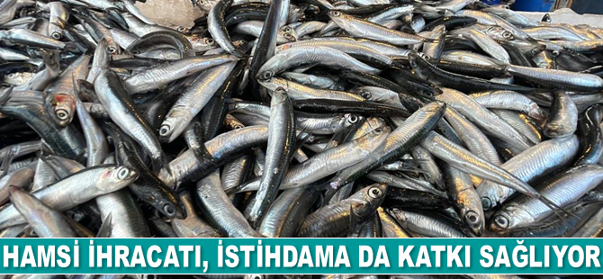 Hamsi ihracatı, istihdama da katkı sağlıyor