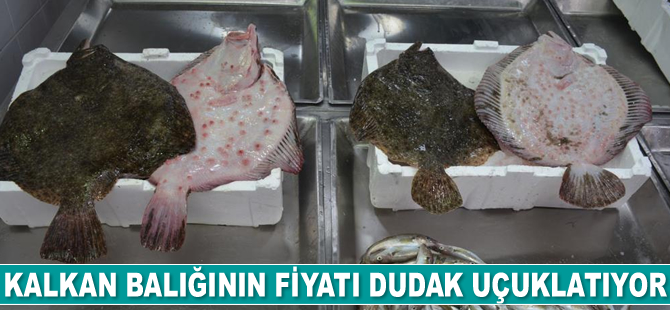 Tezgahlardaki kalkan balığının fiyatı dudak uçuklatıyor