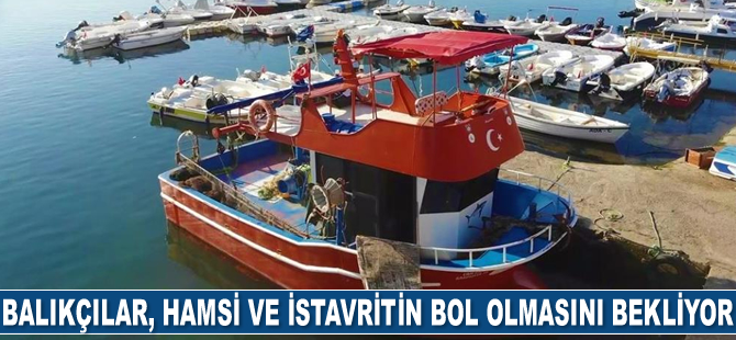 Balıkçılar, hamsi ve istavritin bol olmasını bekliyor