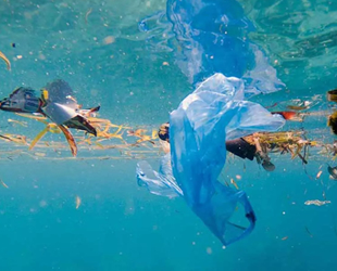 Her yıl 11 milyon plastik denizlere karışıyor