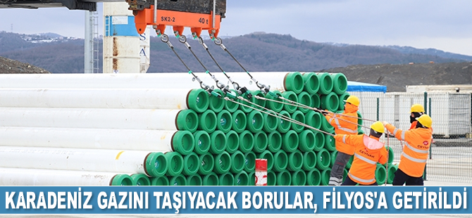Karadeniz gazını taşıyacak boruların ilk etabı, Filyos Limanı'na getirildi