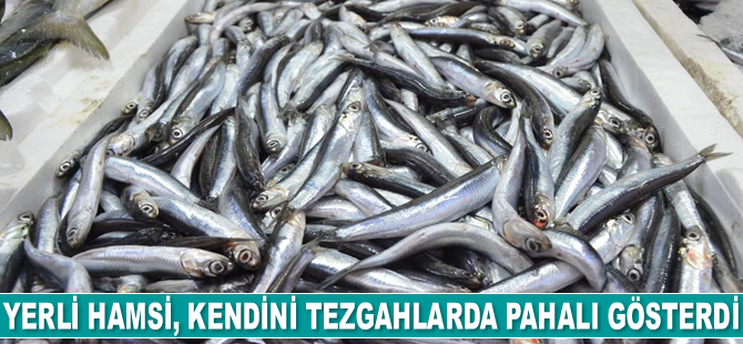 Yerli hamsi, kendini tezgahlarda pahalı gösterdi
