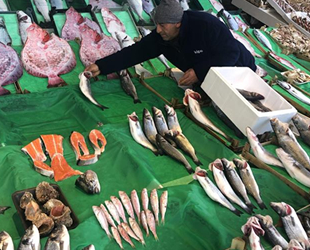 Olumsuz hava nedeniyle balık tezgahları boş kaldı