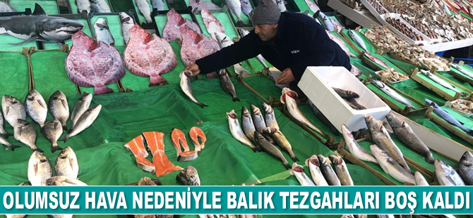 Olumsuz hava nedeniyle balık tezgahları boş kaldı
