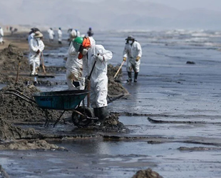 Peru'daki petrol sızıntısı, deniz canlılarını tehdit ediyor