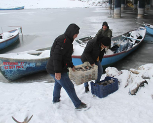 Beyşehir Gölü'nde balıkçıların zorlu mücadelesi sürüyor