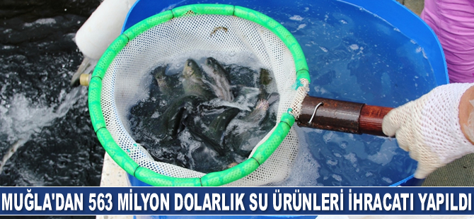 Muğla'dan 2021 yılında 563 milyon dolarlık su ürünleri ihracatı yapıldı