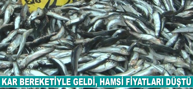 Kar bereketiyle geldi, hamsi fiyatları düştü