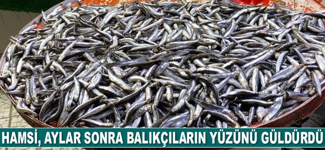Hamsi, aylar sonra balıkçıların yüzünü güldürdü