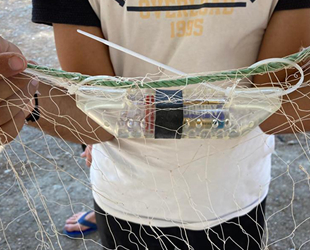 Carettaları korumak için balıkçılardan destek geldi