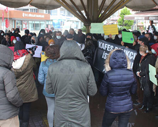 Rizeliler, 'denizde kafes balıkçılığı projesi'ne tepki gösterdi
