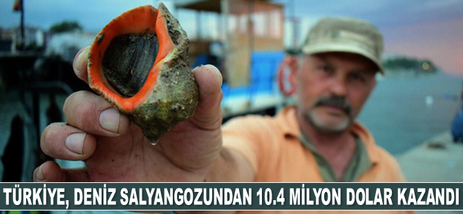 Türkiye, deniz salyangozu ihracatından 10.4 milyon dolar kazandı