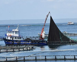 Muğla’nın Aralık ayında ihracatı yüzde 7.7 arttı
