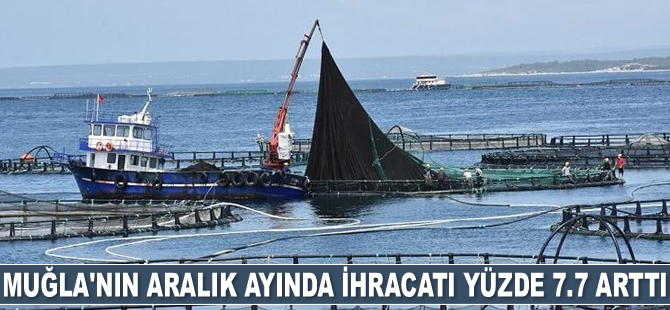 Muğla’nın Aralık ayında ihracatı yüzde 7.7 arttı