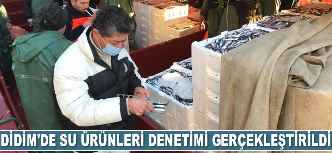 Didim'de su ürünleri denetimi yapıldı
