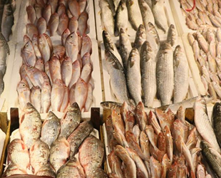 Mersinli balıkçılar, havaların düzelmesini bekliyor