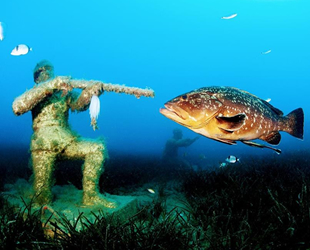 İzmirli su altı fotoğrafçısı Murat Kaptan, dünya birincisi oldu
