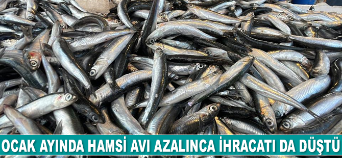Hamsi avı azalınca ihracatı da düştü