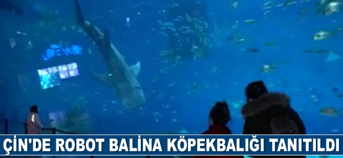 Çin’de robot balina köpekbalığı tanıtıldı