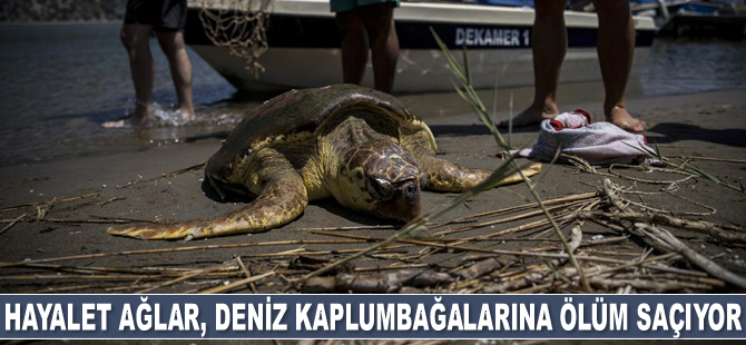 Hayalet ağlar, deniz kaplumbağalarına ölüm saçıyor