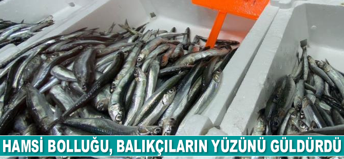 Hamsi bolluğu, balıkçıların yüzünü güldürdü