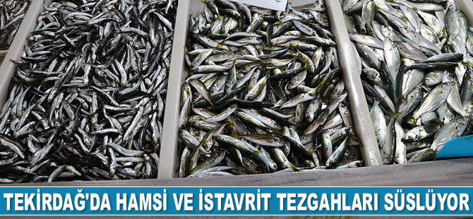 Tekirdağ'da hamsi ve istavrit tezgahları süslüyor