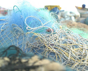 Samsung, balık ağlarından geri dönüşüm yapacak