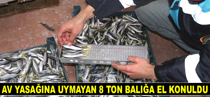 İzmir'de boy ve av yasağına uymayan 8 ton balığa el konuldu