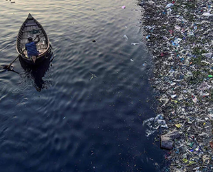Denizdeki plastiği yutmayan kalmadı