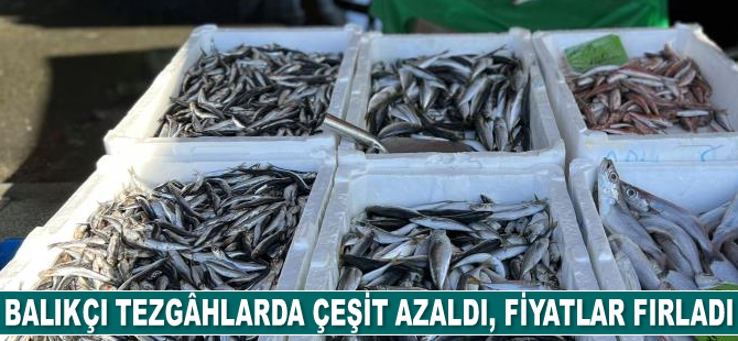 Balıkçı tezgâhlarda çeşit azaldı, fiyatlar fırladı