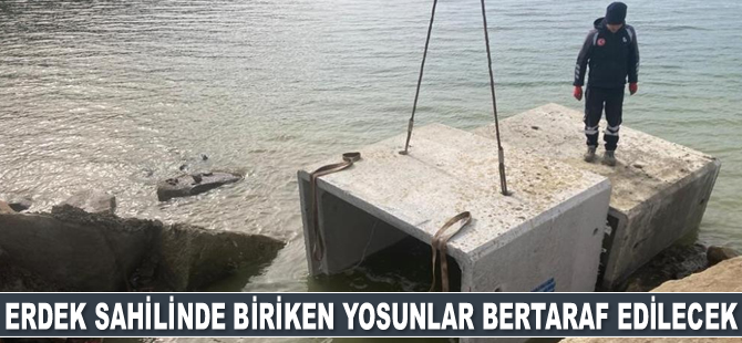 Erdek sahilinde biriken yosunlar bertaraf edilecek