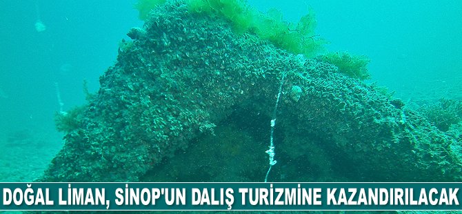 Doğal liman, Sinop'un su altı mirası dalış turizmine kazandırılacak