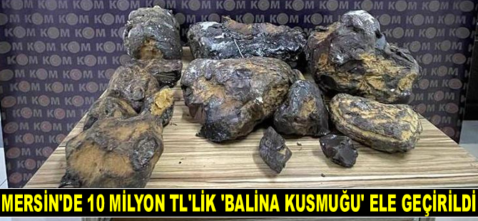 Mersin'de 10 milyon lira değerinde 'balina kusmuğu' ele geçirildi