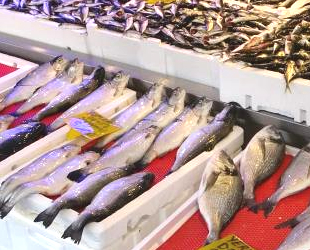 Tezgahlarda hamsinin yerini kültür balıkları almaya başladı