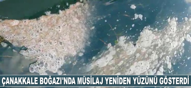 Çanakkale Boğazı’nda müsilaj yeniden yüzünü gösterdi