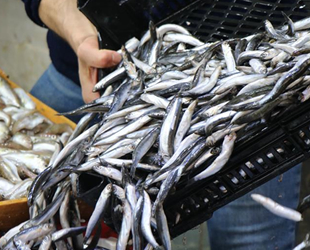 Vatandaşlar, balık fiyatlarının pahalılığından dert yanıyor