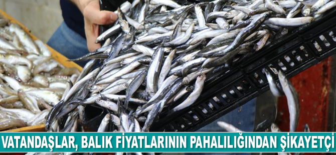 Vatandaşlar, balık fiyatlarının pahalılığından dert yanıyor