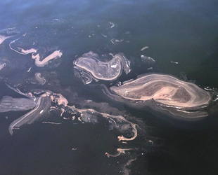 İstanbul’da müsilaj yeniden görüldü