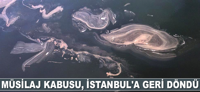 İstanbul’da müsilaj yeniden görüldü