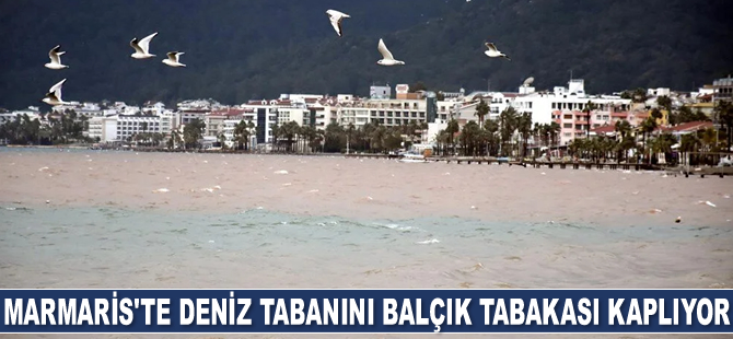 Marmaris'te yangınlar sonrası deniz tabanını balçık tabakası kaplıyor