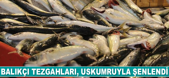 Balıkçı tezgahları, uskumruyla şenlendi